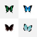 Realistic Common Blue, Spicebush, Beauty Fly And Other Vector Elements. Set Of Butterfly Realistic Symbols Also Includes Royalty Free Stock Photo