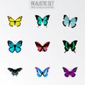 Realistic Copper, Callicore Cynosura, Beauty Fly And Other Vector Elements. Set Of Moth Realistic Symbols Also Includes