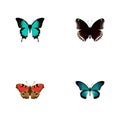 Realistic Copper, Spicebush, American Painted Lady And Other Vector Elements. Set Of Moth Realistic Symbols Also