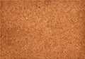 Realistic cork material grunge background