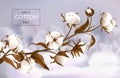 Realistic cotton flowers, tree branch. Pure organic soft autumn design, fashion nature art, white floral leaf. Organic