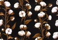 Realistic cotton pattern. boho flowers on black background. Nature plant buds for agriculture farm, floral fabric print