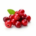 Realistic Cranberry On White Background With Bold Color Usage