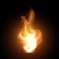 Realistic creative hot vector fire flames or blaze bonfire Royalty Free Stock Photo