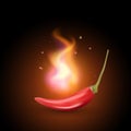 Realistic creative vector red hot flaming chilli pepper