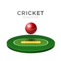 Vector cricket playground 3d icon for betting Royalty Free Stock Photo