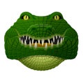 Realistic crocodile face looks ahead