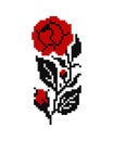 Realistic Cross-Stitch Embroideried Rose