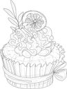 Realistic cupcake with cream, walnut and orange sketch template