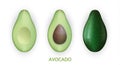 Realistic 3d avocado fruit isolated on white background. Cut pieces of avocado with seed