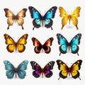 Realistic 3d Butterflies: Colorful And Eye-catching Set Royalty Free Stock Photo