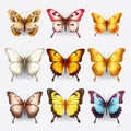 Realistic 3d Butterflies With Unique Character Design