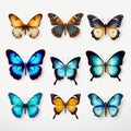 Realistic 3d Butterflies: Vibrant Colors And Graceful Movements