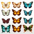 Realistic 3d Butterflies: Vibrant Colors And Meticulous Detail