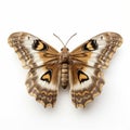 Realistic 3d Butterfly: Close-up Of Bold Patterns On White Background