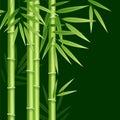 Realistic 3d Detailed Bamboo Japanese or Chinese Green Plant Background Card. Vector