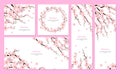 Realistic 3d Detailed Blooming Cherry Blossom Card Set. Vector Royalty Free Stock Photo