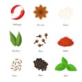 Realistic 3d Detailed Classic Spices Collection. Vector