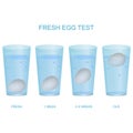 Realistic 3d Detailed Fresh Egg Test Concept Card Poster. Vector Royalty Free Stock Photo