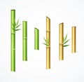 Realistic 3d Detailed Green and Brown Bamboo Set. Vector