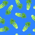 Realistic 3d Detailed Green Fresh Celery Seamless Pattern Background. Vector