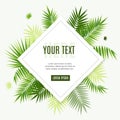 Realistic 3d Detailed Green Palm Leaf Frame Flyer Banner Posters Card. Vector