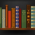 Realistic 3d Detailed Vintage Old Books on Shelf . Vector