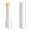 Realistic 3d Detailed White Blank Lip Balm Stick Template Mockup Set. Vector