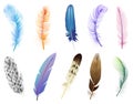 Realistic 3d feathers. Birds colored falling fluffy feathers, floating bird soft plumage feathers isolated vector icons