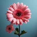 Realistic 3d Gerbera Flower In Mario Video Game Art Style