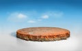 Realistic 3D Illustration circle soil ground cross section with earth land