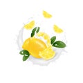 Realistic 3d Lemon fruit juice splash. Milk round splash. Design element. Packaging