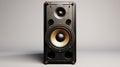 Realistic 3d Model Of Speaker With High-quality Rendering