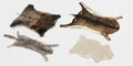 3D Render of Animal Skins