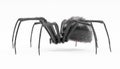3D Render of Black Widow Spider Royalty Free Stock Photo