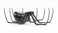 3D Render of Black Widow Spider Royalty Free Stock Photo