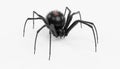 3D Render of Black Widow Spider Royalty Free Stock Photo