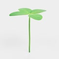 3D Render of Clover Plant