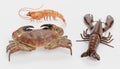 3D Render of Crustacean Edible