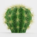 3D Render of Golden Barrel Cactus