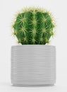 3D Render of Golden Barrel Cactus