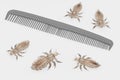 3d Render of Head Lice with Hairbrush