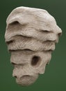 3D Render of Hornets Nest