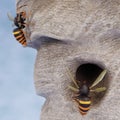 3D Render of Hornets Nest
