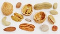 3D Render of Nuts Collection