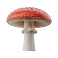 Realistic 3d render of a red capped fly agaric mushroom with transparent background white spots Royalty Free Stock Photo