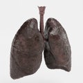 3D Render of Smoker Lungs