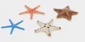 3D Render of Starfish Collection