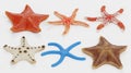 3D Render of Starfish Collection