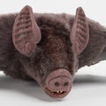 3D Render of Vampire Bat Royalty Free Stock Photo